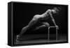 Bodyscape-Anton Belovodchenko-Framed Stretched Canvas