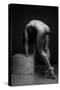 Bodyscape-Anton Belovodchenko-Stretched Canvas