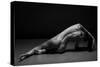 Bodyscape-Anton Belovodchenko-Stretched Canvas