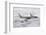 Boeing 707 1st president plane-null-Framed Art Print