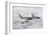 Boeing 707 1st president plane-null-Framed Art Print