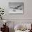 Boeing 707 Airplane-null-Photographic Print displayed on a wall