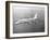 Boeing 707 Plane in Flight-null-Framed Photographic Print