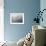 Boeing 707 Plane in Flight-null-Framed Photographic Print displayed on a wall