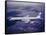 Boeing 707-null-Framed Stretched Canvas