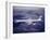 Boeing 707-null-Framed Photographic Print