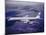 Boeing 707-null-Mounted Photographic Print