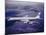 Boeing 707-null-Mounted Photographic Print