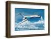 Boeing 717-200 in Flight-null-Framed Art Print