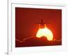 Boeing 737 Taking Off At Sunset-David Nunuk-Framed Photographic Print