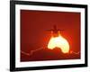 Boeing 737 Taking Off At Sunset-David Nunuk-Framed Photographic Print