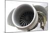 Boeing 747-8 Engine Cowling-Mark Williamson-Mounted Premium Photographic Print