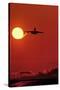 Boeing 747 Taking Off At Sunset-David Nunuk-Stretched Canvas