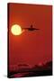 Boeing 747 Taking Off At Sunset-David Nunuk-Stretched Canvas