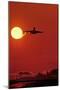 Boeing 747 Taking Off At Sunset-David Nunuk-Mounted Photographic Print