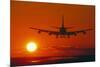 Boeing 747-David Nunuk-Mounted Photographic Print