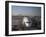 Boeing 777-300 ER Jet Airliner of Emirates Airline at Gate, Sydney Airport, Australia-Nick Servian-Framed Photographic Print