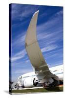 Boeing 787 Dreamliner At Farnborough-Mark Williamson-Stretched Canvas