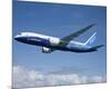 Boeing 787 Dreamliner-null-Mounted Premium Giclee Print