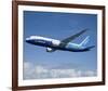 Boeing 787 Dreamliner-null-Framed Art Print