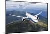 Boeing 787 Dreamliner-null-Mounted Art Print