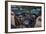 Boeing 787 Flight Deck-null-Framed Art Print