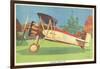 Boeing Model 100 Airplane-null-Framed Art Print