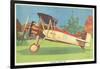 Boeing Model 100 Airplane-null-Framed Art Print