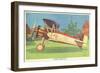 Boeing Model 100 Airplane-null-Framed Art Print