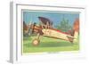 Boeing Model 100 Airplane-null-Framed Art Print