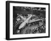 Boeing's New 707 Jet Aircraft, at the Boeing Plant-Nat Farbman-Framed Photographic Print