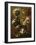 Boels sketches were used in the tapestries woven in Les Gobelins. Head of a cat; a rabbit; a goat.-Pieter Boel-Framed Giclee Print