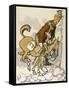 Boer, Cartoon, UK General-null-Framed Stretched Canvas
