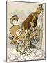 Boer, Cartoon, UK General-null-Mounted Art Print