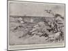 Boers Capturing the Armoured Train Near Kraaipan-Charles Edwin Fripp-Mounted Giclee Print