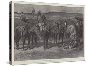 Boers' Horses in a Donga, or Cleft, on the Veldt-Paul Frenzeny-Stretched Canvas