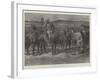 Boers' Horses in a Donga, or Cleft, on the Veldt-Paul Frenzeny-Framed Giclee Print