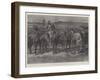Boers' Horses in a Donga, or Cleft, on the Veldt-Paul Frenzeny-Framed Giclee Print
