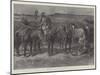 Boers' Horses in a Donga, or Cleft, on the Veldt-Paul Frenzeny-Mounted Giclee Print