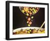 Boeuf En Daube is a Beef Stew Made with Garlic, Onions and Tomatoes-John Dominis-Framed Photographic Print