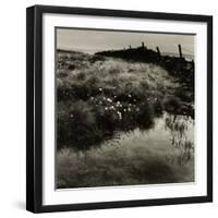 Bog Cotton, Bridestones Moor-Fay Godwin-Framed Giclee Print