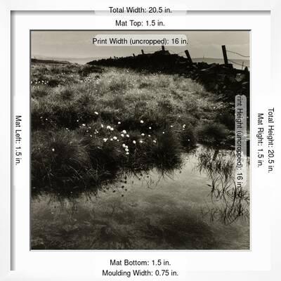 Bog Cotton, Bridestones Moor' Giclee Print - Fay Godwin | AllPosters.com