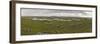 Bog Land, Connemara, Connacht, Ireland-Gary Cook-Framed Photographic Print