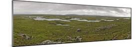 Bog Land, Connemara, Connacht, Ireland-Gary Cook-Mounted Photographic Print