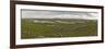 Bog Land, Connemara, Connacht, Ireland-Gary Cook-Framed Photographic Print