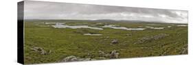 Bog Land, Connemara, Connacht, Ireland-Gary Cook-Stretched Canvas