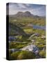 Bog Wetlands with Suilven Mountain at Dawn, Assynt Mountains, Highland, Scotland, UK, June-Joe Cornish-Stretched Canvas