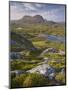 Bog Wetlands with Suilven Mountain at Dawn, Assynt Mountains, Highland, Scotland, UK, June-Joe Cornish-Mounted Photographic Print