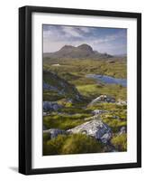 Bog Wetlands with Suilven Mountain at Dawn, Assynt Mountains, Highland, Scotland, UK, June-Joe Cornish-Framed Photographic Print