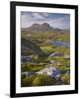 Bog Wetlands with Suilven Mountain at Dawn, Assynt Mountains, Highland, Scotland, UK, June-Joe Cornish-Framed Photographic Print